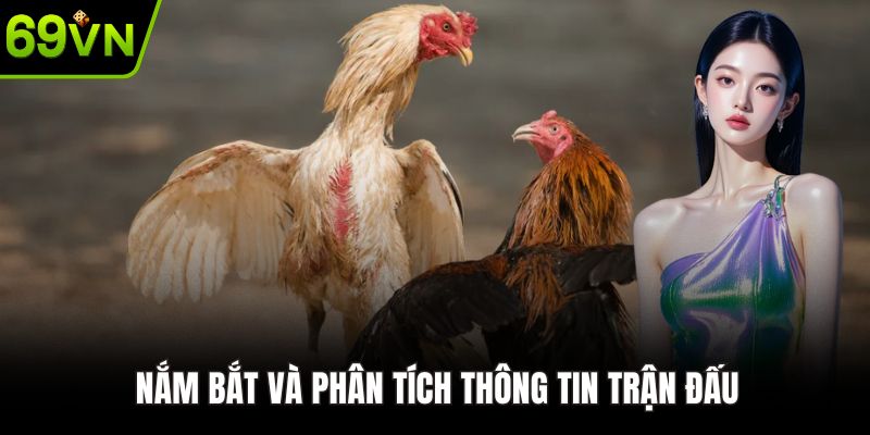 Nắm bắt và phân tích thông tin trận đấu